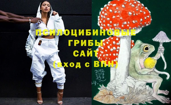 прущий лед Алексин