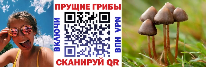 купить наркоту  KRAKEN онион  Псилоцибиновые грибы ЛСД  Красноуральск 